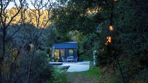 A secluded cabin with a patio, surrounded by dense forest.