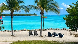 Ein Strand mit Palmen, einem Pfad und Stühlen.