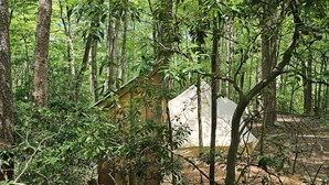 Property grounds - Whisper "Hollar" | Secluded Luxe Glamping Retreat (Turtletown)
