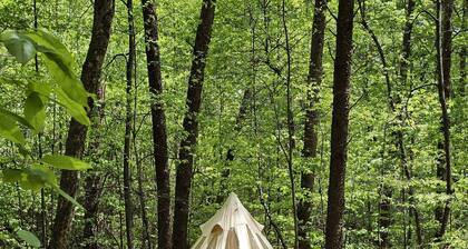Whisper "Hollar" | Secluded Luxe Glamping Retreat