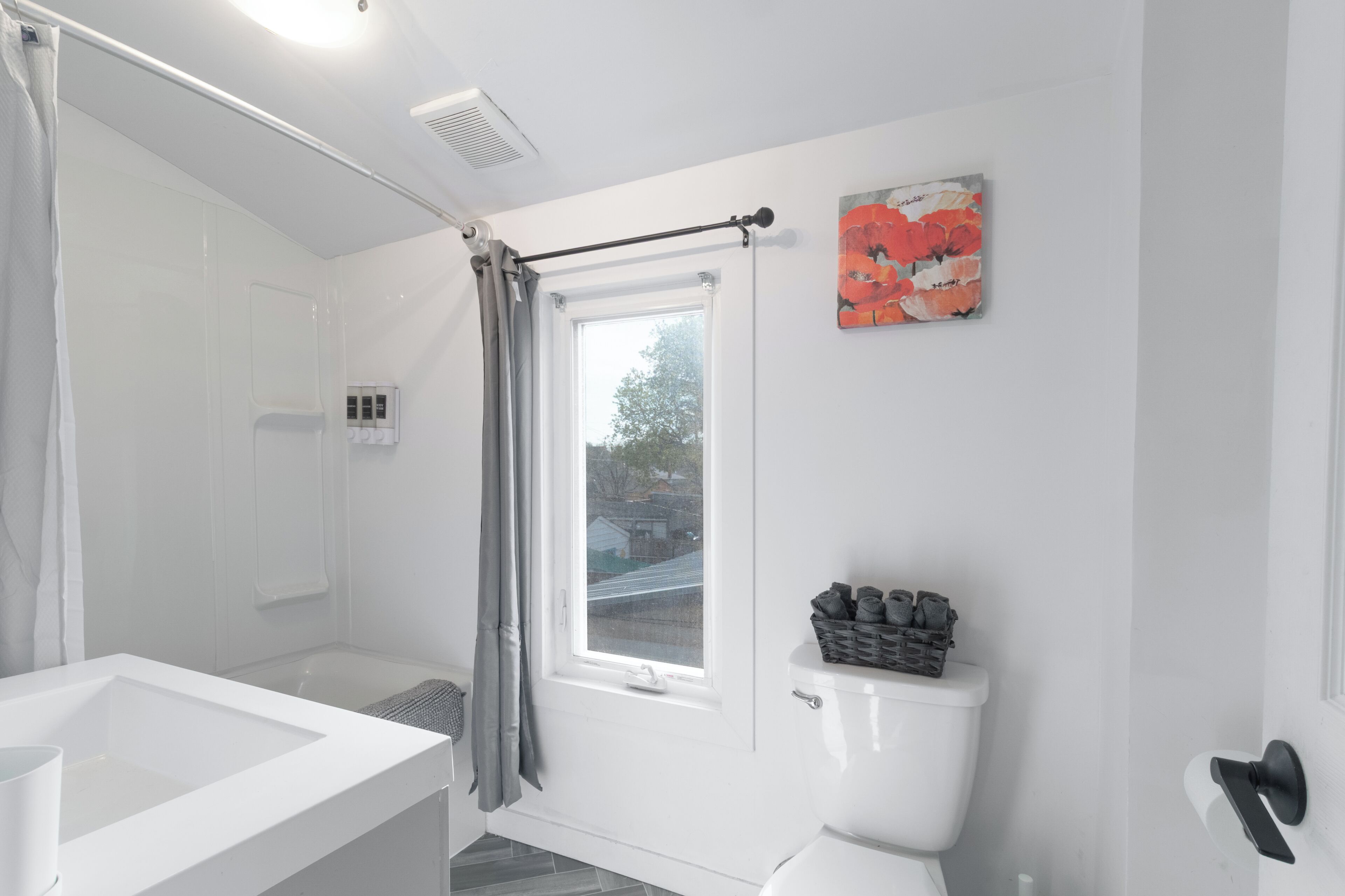 Hair dryer, towels, soap, toilet paper