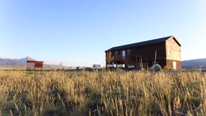 A wooden house with a flat roof, surrounded by a field of tall grass.