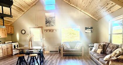 Modern Rustic Appeal with the Wild Rio Grande National Forest as your backyard!