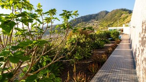 Un jardin sur le toit, agrémenté de plantes, d’un sentier et offrant une vue sur une ville perchée sur une colline.