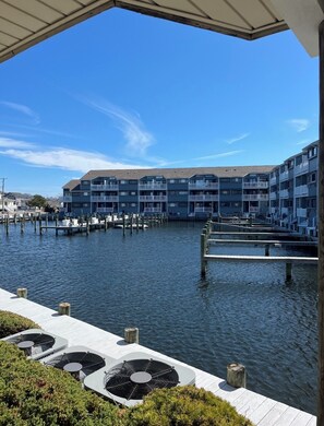 Property grounds -  Bayfront condo with spectacular sunset views!!!! (Seaside Heights)