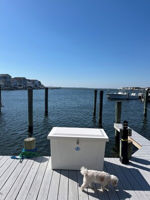 A wooden dock with a white cooler, a dog, and a calm water body.