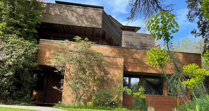 Executive home on Capitol Hill at forest edge with hot tub, fire pit, backyard