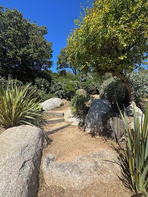 Eine natürliche Landschaft mit einem Feldweg, großen Steinen und vielfältiger Vegetation.
