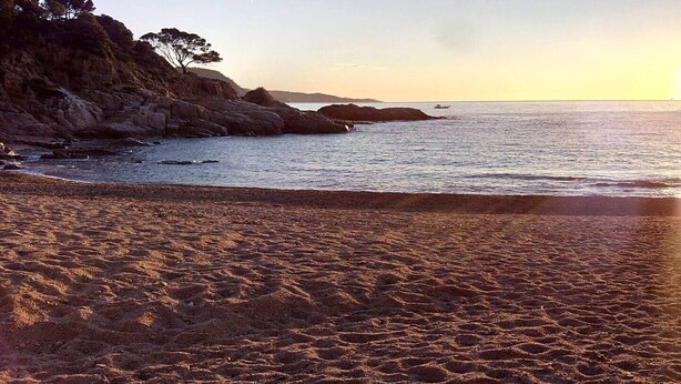 Una playa con terreno rocoso y una vista despejada del mar.