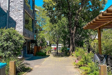 Property grounds. Perfect Getaway among the Pucón Forests