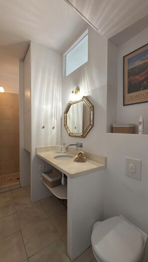 Shower, hair dryer, towels, toilet paper - Apartment in the heart of the old town with balcony near the Sorgue river (L'Isle-sur-la-Sorgue)