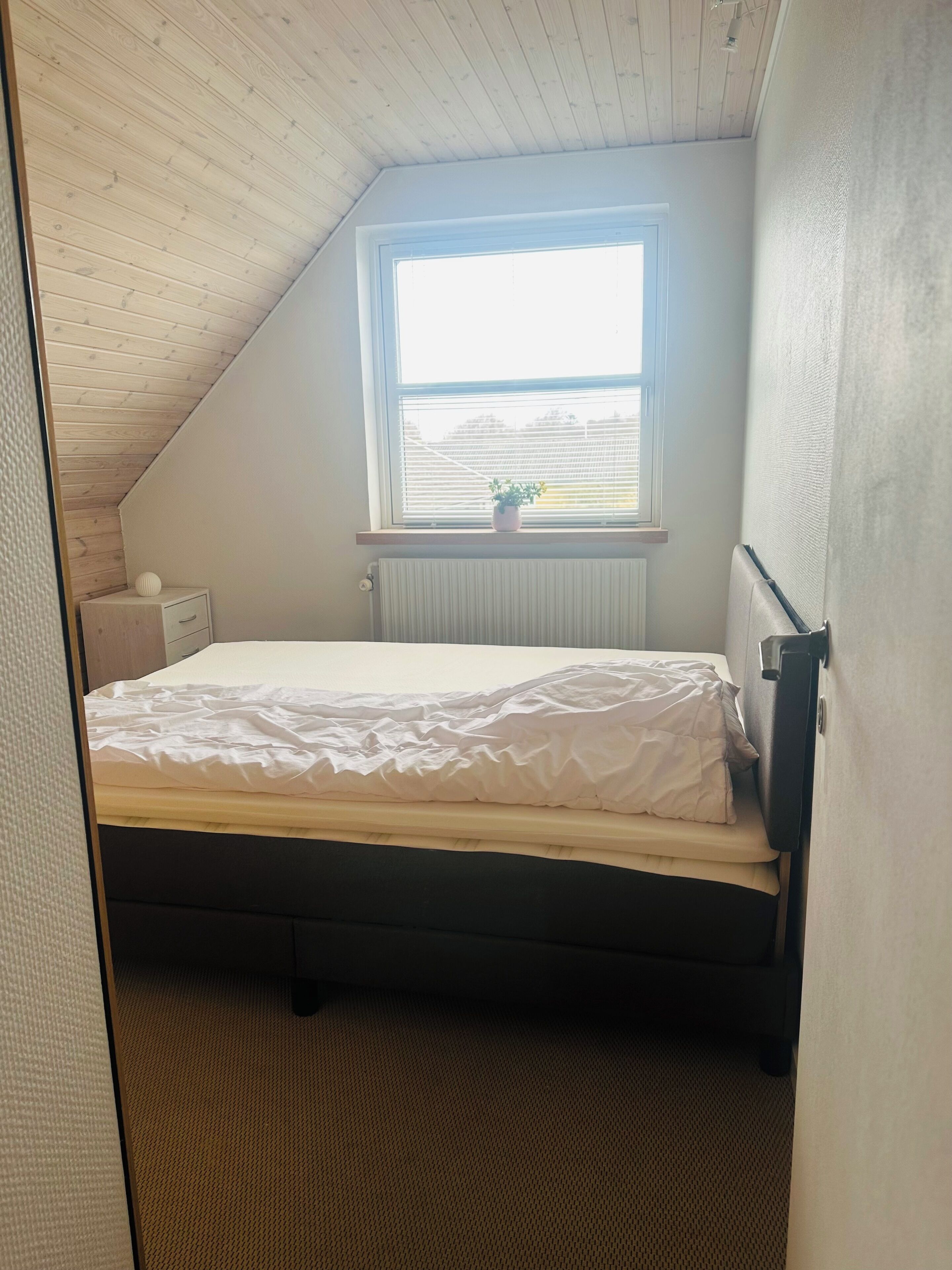 Basic Room, Non Smoking, Kitchen