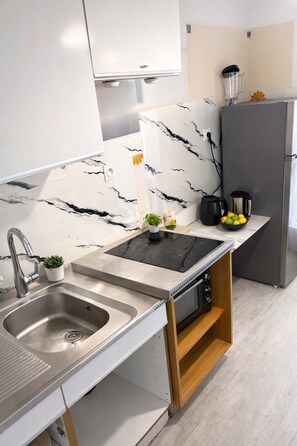 A modern kitchen with a built-in stove, a sink, a refrigerator, and a blender on the counter. - Apartment with swimming pool, janitor and parking space (Mandelieu-la-Napoule)