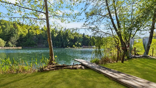 Blick auf einen See mit Holzsteg, Rasenfläche und Bäumen.