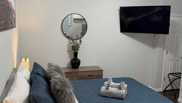 Une chambre à coucher avec un lit, une télévision, un miroir, un vase avec une plante et un radiateur.