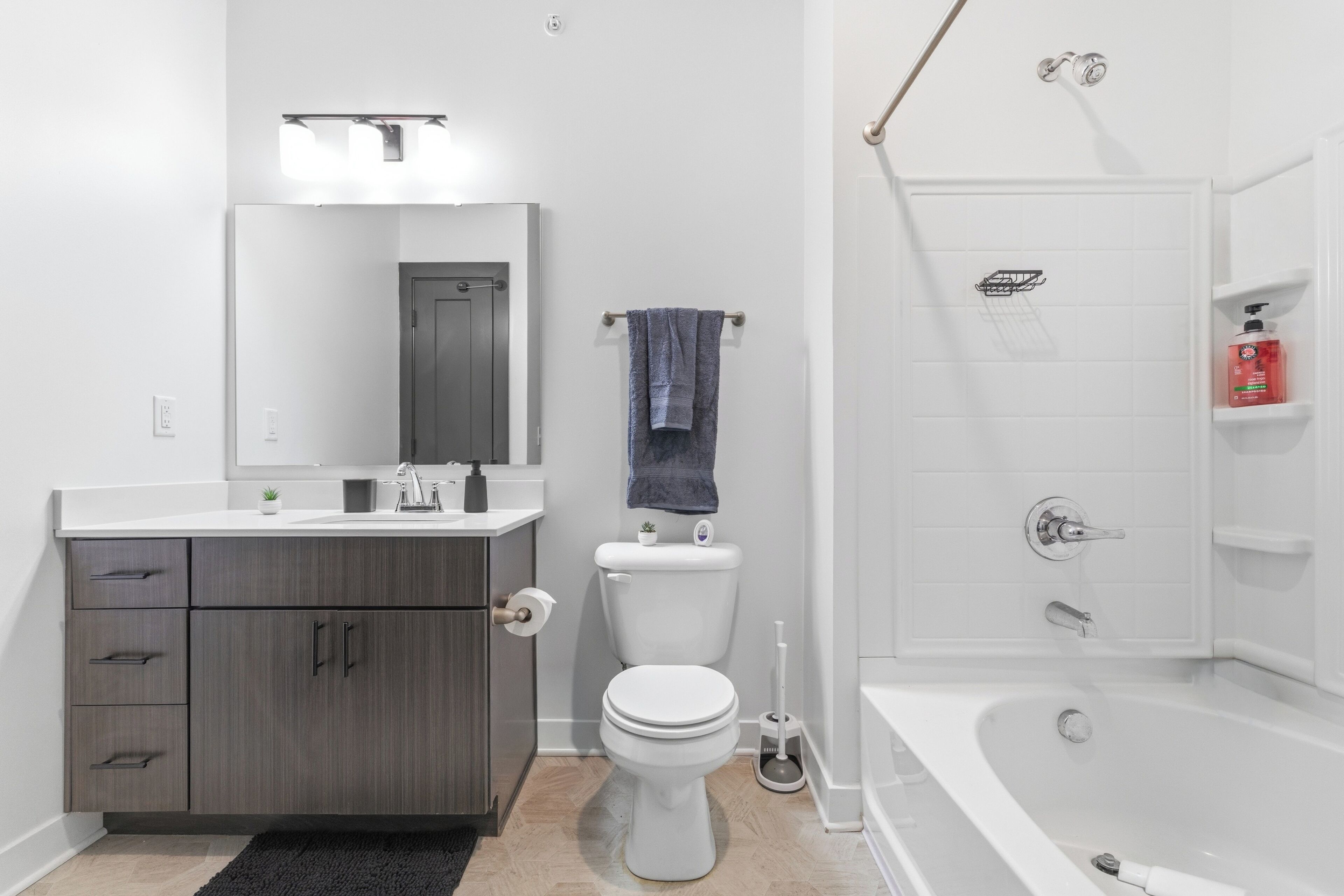 Hair dryer, towels, soap, toilet paper