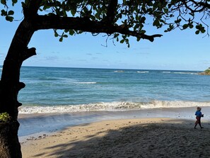 Beach - Enchanting 4-bedroom luxury villa in Puerto Plata located on Lifestyle Property (Puerto Plata)