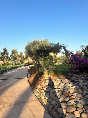 Property grounds - 2 bedroom apartment, private rooftop and swimming pool + aqua-park free access (Ouahat Sidi Brahim)