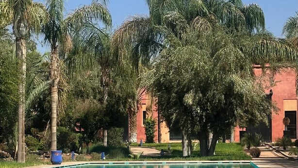 Ein Swimmingpool, umgeben von Palmen und einem Gebäude mit roter Fassade.