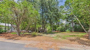 Un quartier résidentiel doté d’une allée pavée, d’une pelouse verdoyante et d’arbres adultes.