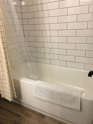 Hair dryer, towels, soap, toilet paper - 3-bedroom house in peaceful Boone with cool AC breeze (Boone)