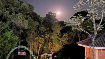 Área da propriedade