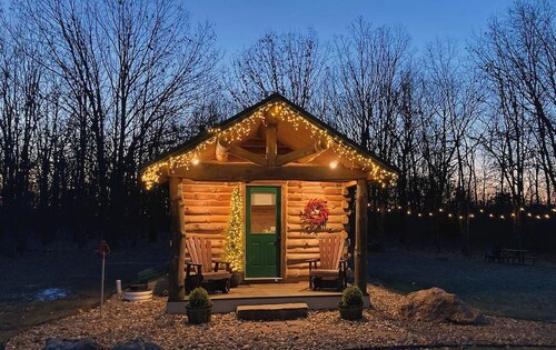 Ozark Oasis Luxury Cabin: Cozy one-bedroom with AC