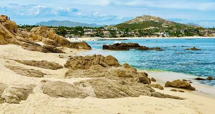 Pheonix of Costa Dorada