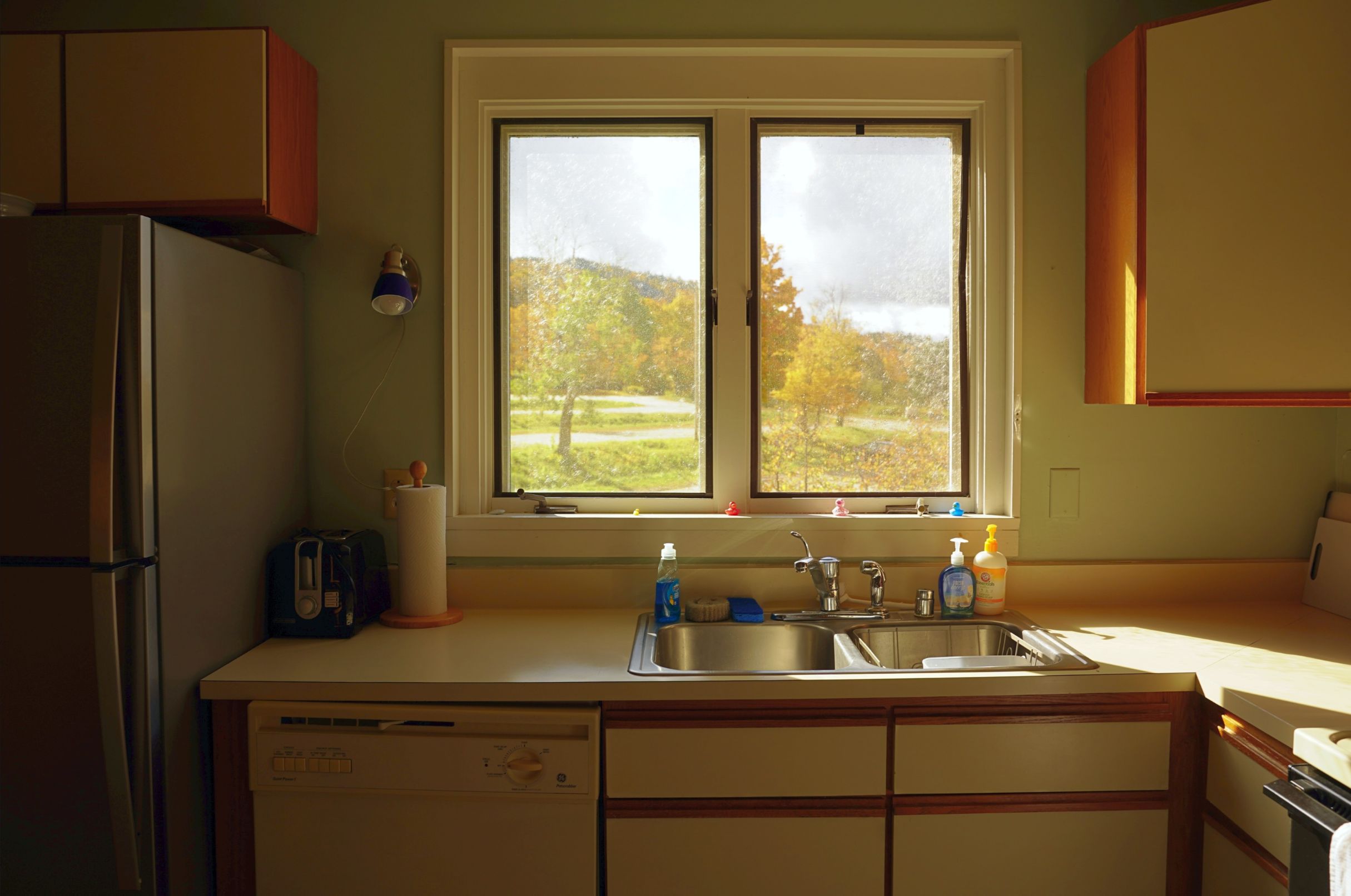 Una cocina con un lavaplatos doble, refrigerador, lavavajillas y ventana con vista a árboles.
