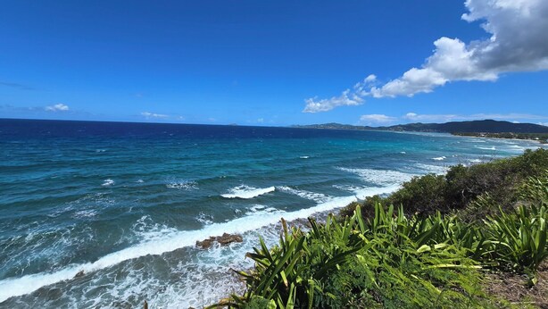 Paisagem costeira com águas azul-claras, um litoral rochoso e vegetação exuberante.