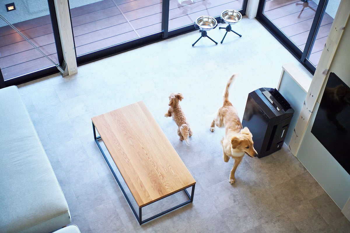 A modern interior with a wooden bench, a dog, and a fireplace.