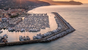 En lysthavn med mange både i havnen, en promenade langs vandet og en by silhuet i baggrunden.