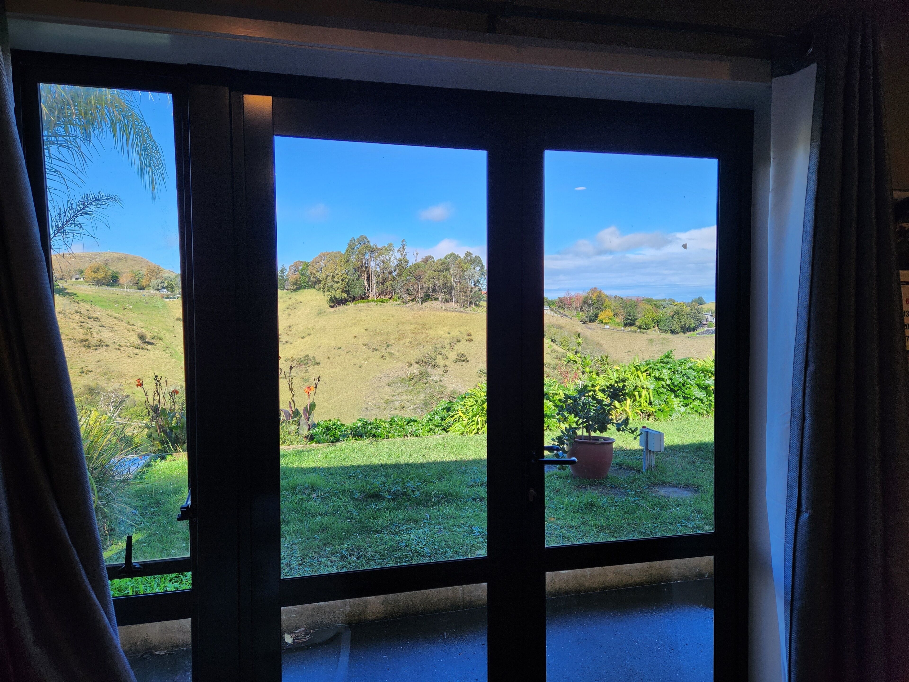 Vista a través de una ventana con una puerta, mostrando un paisaje con césped, árboles y cielo despejado.