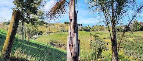 Terrain de l’hébergement
