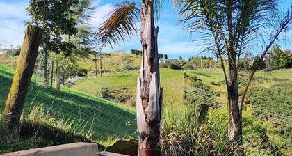 Sugarloaf Studio with a view. Near Church Rd and Mission Estate Wineries