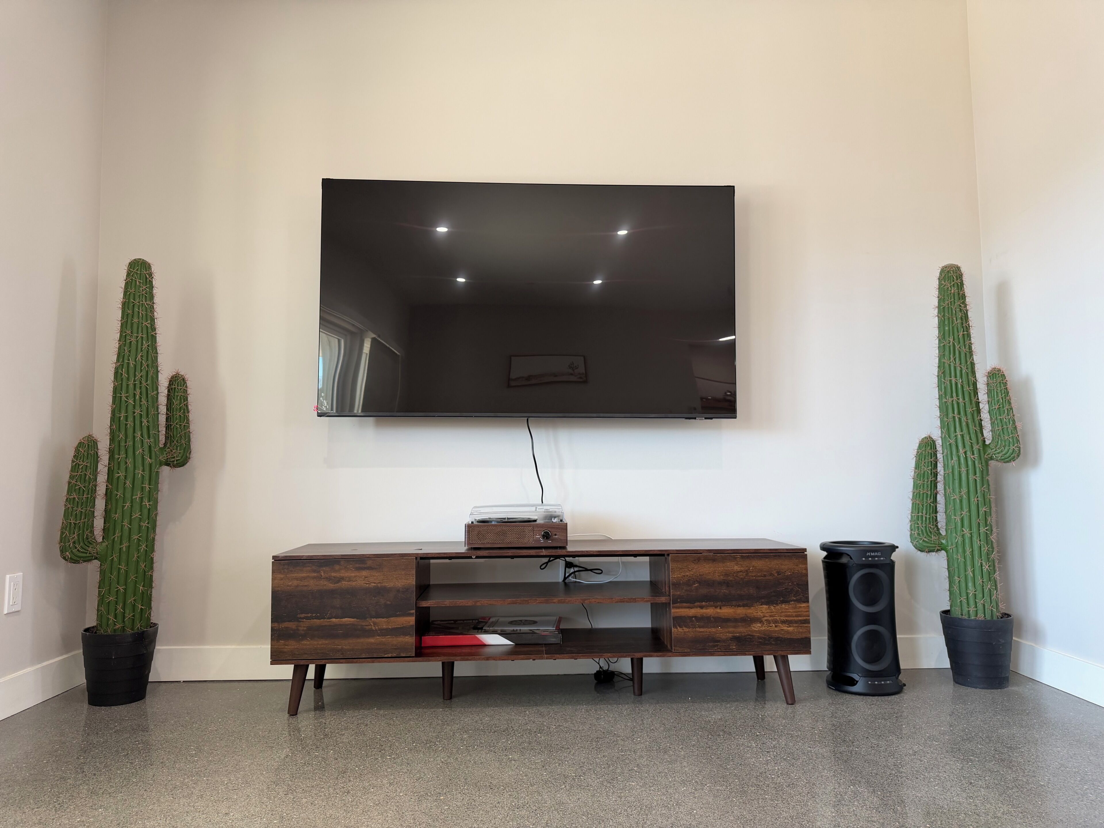 Una sala de estar con una televisión de pantalla plana montada en la pared, un mueble de madera para entretenimiento y dos cactus en macetas.