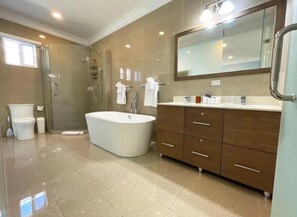 Dusche, Haartrockner, Seife, Toilettenpapier
