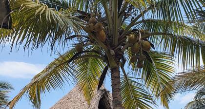 Tranquil total cabana and beach front property in San Bernardo del Viento