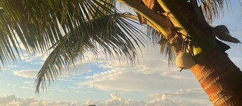 Charming beachfront studio cabana in sunny Placencia