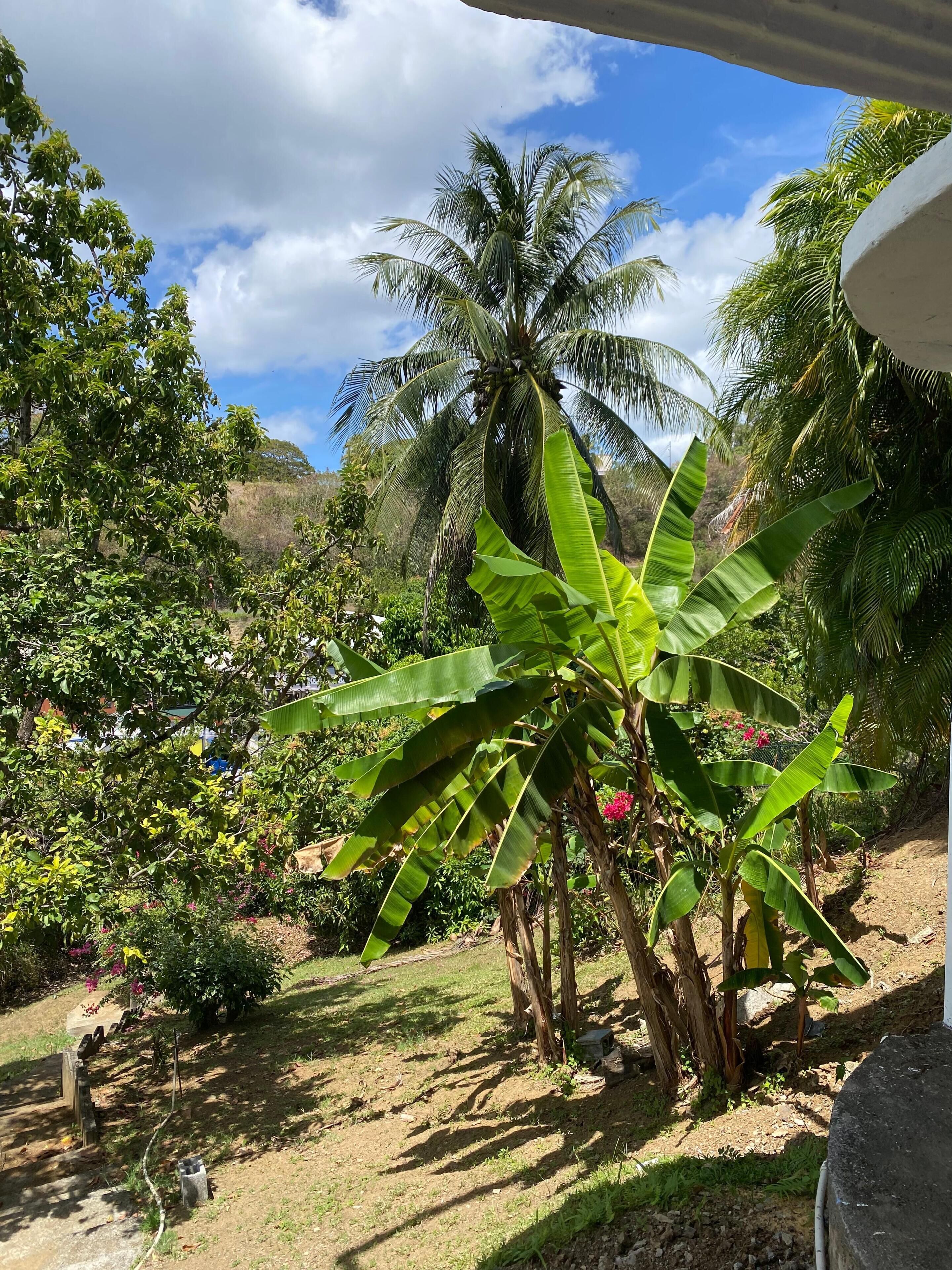 Área da propriedade