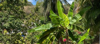 Ocean View Terrace Retreat Caribbean Escape