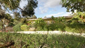 Zona residencial con una casa, abundante vegetación y cielo despejado.