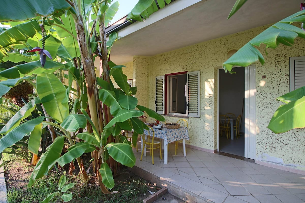 A covered patio with a table and chairs, surrounded by banana plants.