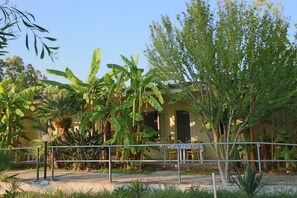 A building with a balcony, surrounded by lush greenery including banana trees and a flowering tree. - Mediterranean Holiday Home for 4 (Ricadi)