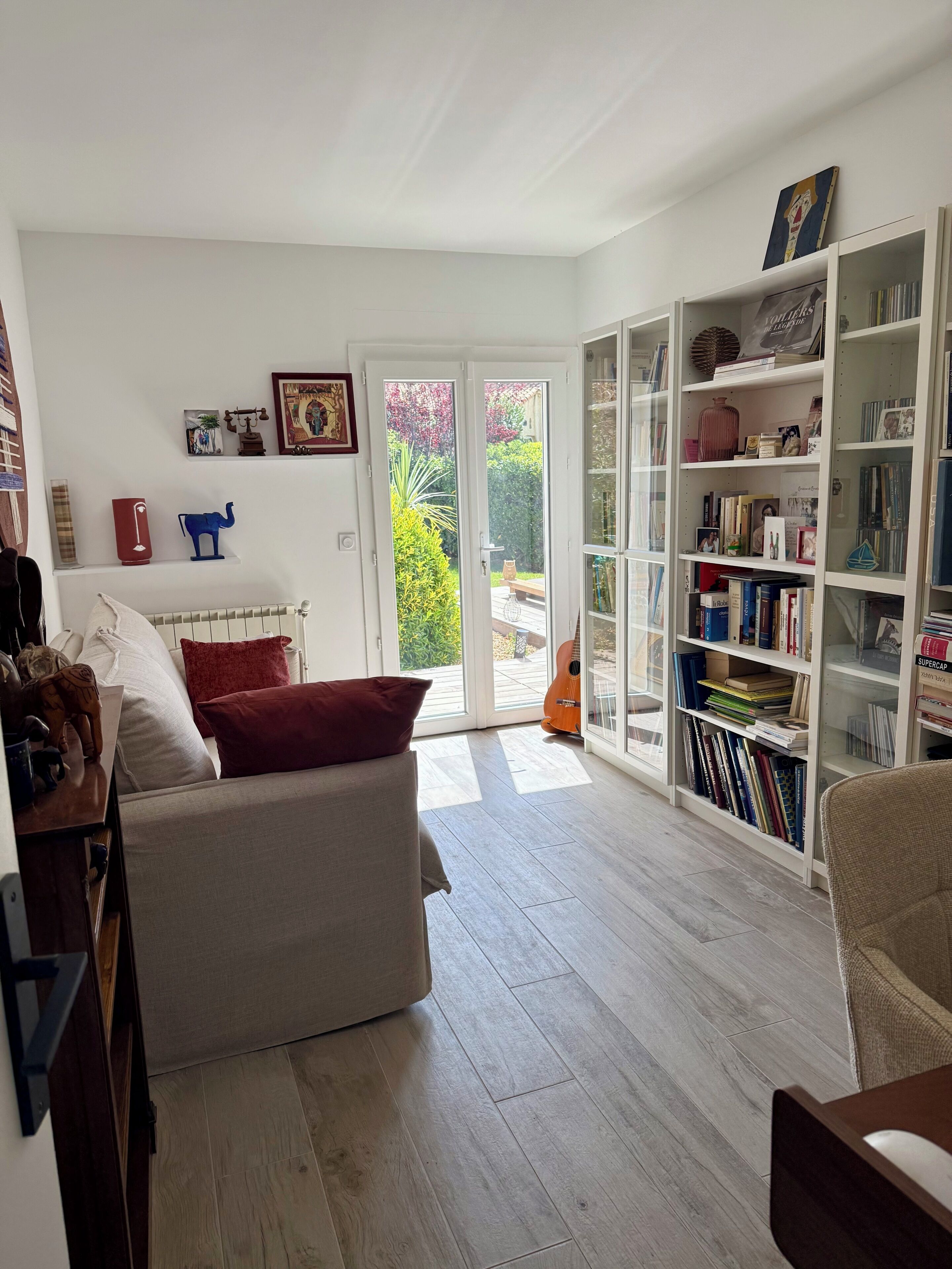 TV connectée, cheminée, lecteur de DVD, livres