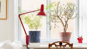 Ein weißer Schreibtisch mit einer roten Schreibtischlampe, ein Holzstuhl und zwei Zimmerpflanzen.