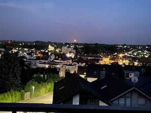 Balcony - Vrbo Property (Bad Bergzabern)