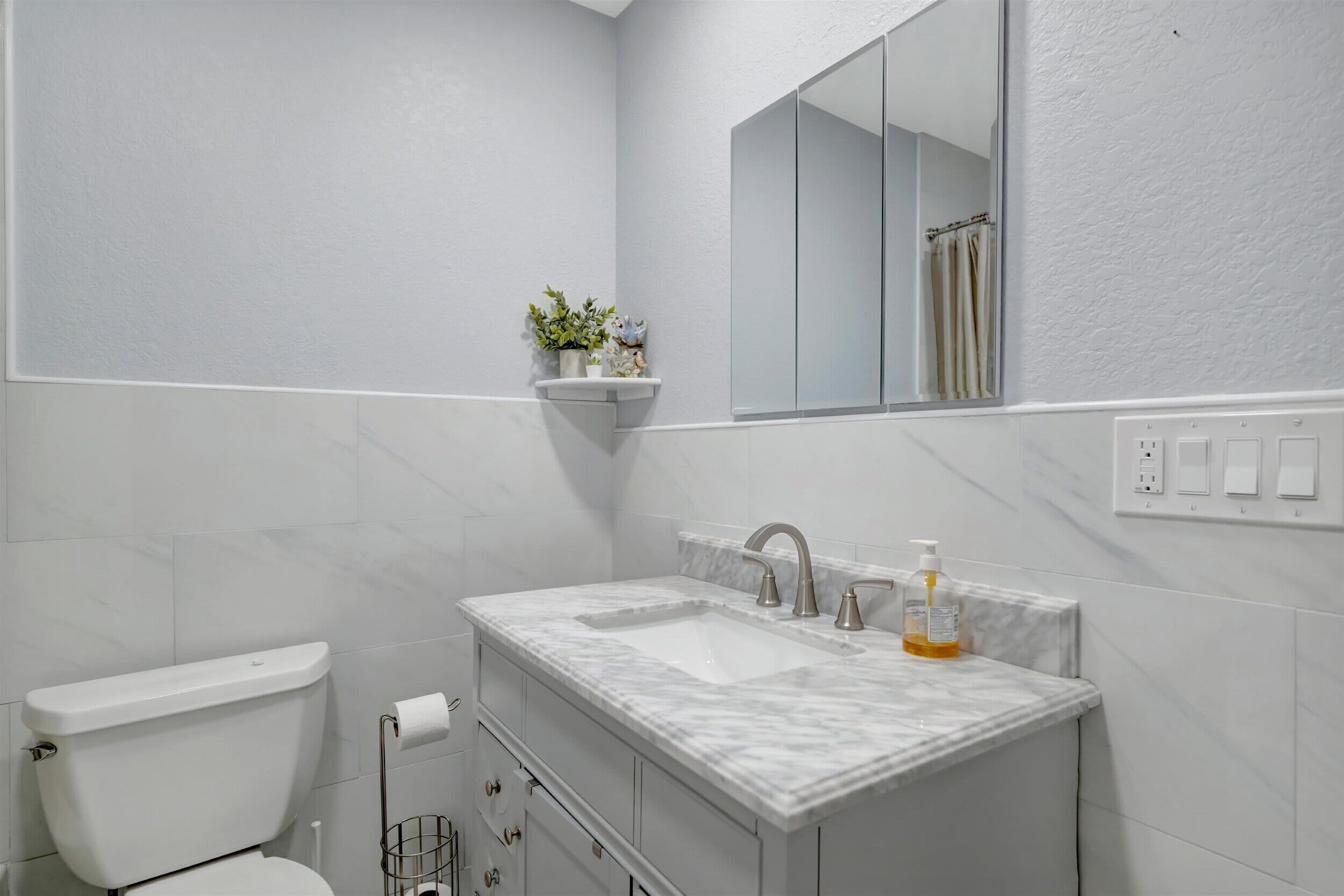 A bathroom with a toilet, a sink with a mirror, and a shelf with a plant.