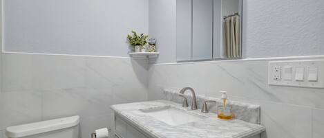 A bathroom with a toilet, a sink with a mirror, and a shelf with a plant.