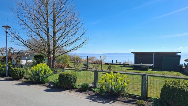 A residential area with a clear view of a body of water, a fenced garden, and a wooden structure.